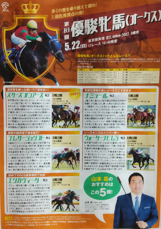 最大64％オフ！ 競馬 JRA オークス ユーバーレーベン ポスター B1