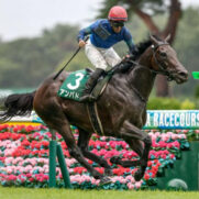 優駿牝馬オークスサイン馬券 予想2026【裏競馬】想定オッズ・ポスター